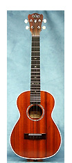 tenor